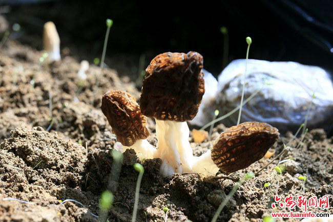 b13df48141ae42629bcb3c3bec458add.jpg b13df48141ae42629bcb3c3bec458add.jpg