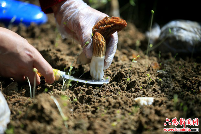 ce2c276368b240e2843da8ba3800803d.jpg ce2c276368b240e2843da8ba3800803d.jpg