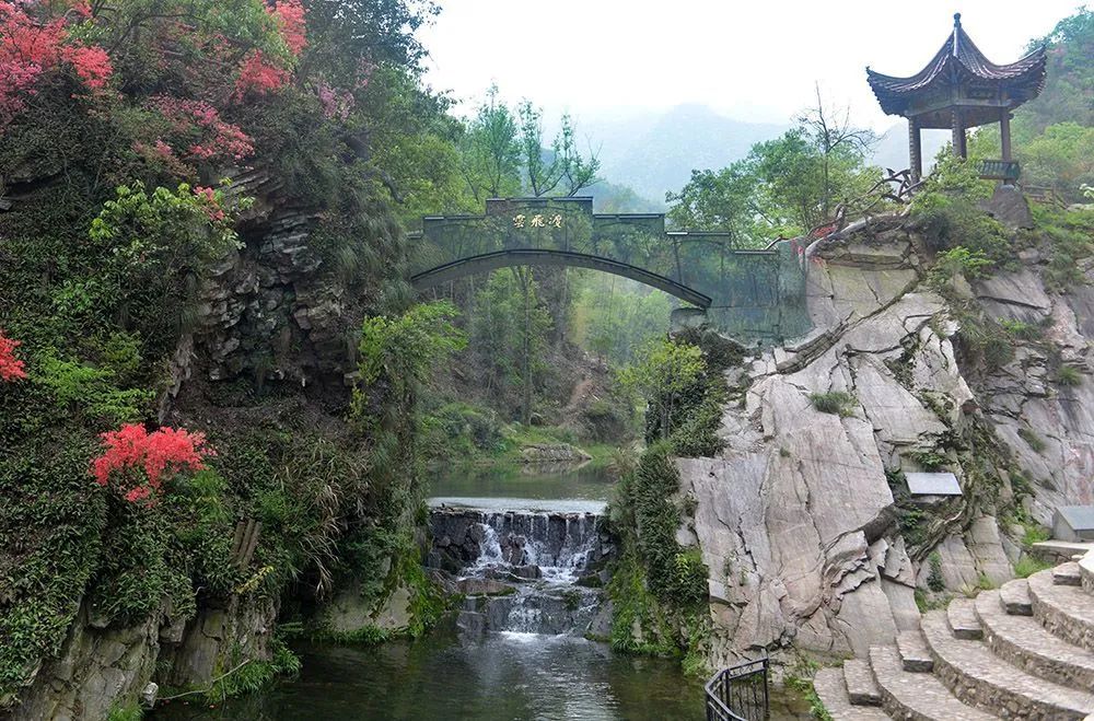 2东石笋景区小桥流水映山红盛开。郑金强 摄.jpg 图片