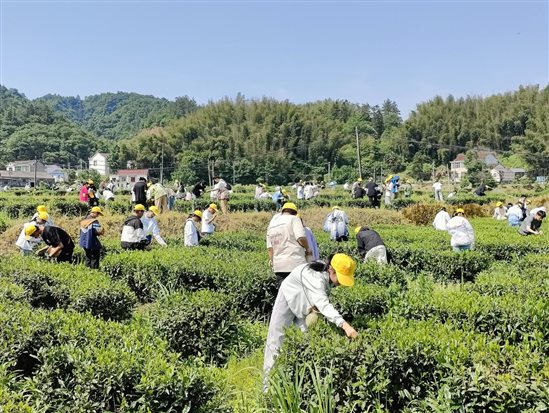 微信图片_20240523094837