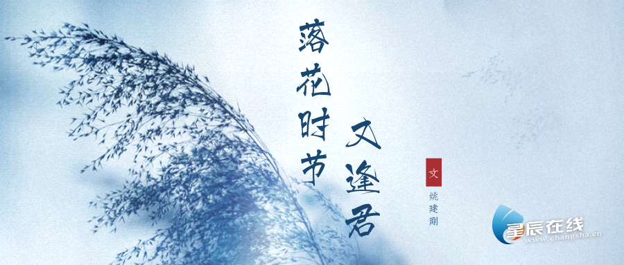 星辰文艺 | 姚建刚：落花时节又逢君