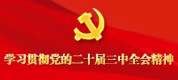 学习贯彻党的二十届三中全会精神