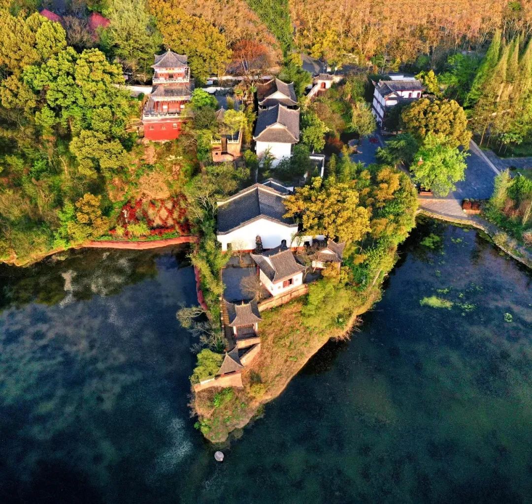 直播“千年网红”夜游东坡赤壁，对谈“南稻北麦”之争