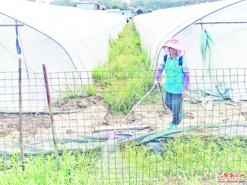 75bbd5d645274d22bc580e354b1efa50.jpg 75bbd5d645274d22bc580e354b1efa50.jpg