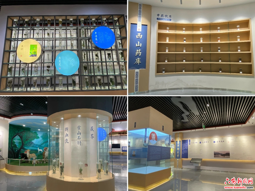 六安霍山县中医院获评安徽省中医药文化宣教基地建设单位