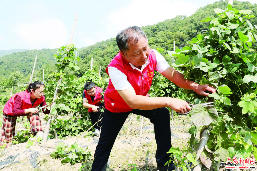 f29fb1637e8745f8b61ae7125fd00c83.jpg f29fb1637e8745f8b61ae7125fd00c83.jpg