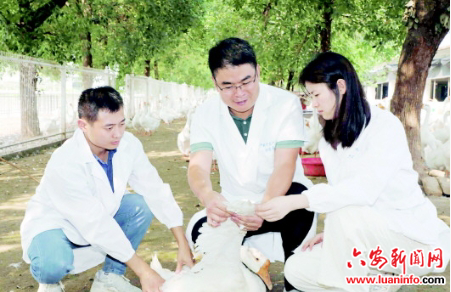 7e01d967081c4d969bbc59f2b8bf5b07.png 7e01d967081c4d969bbc59f2b8bf5b07.png