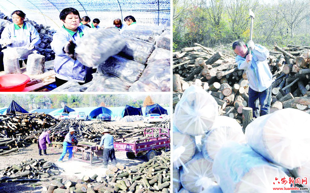 8bcbec845f3a40c189cbaa0a82cdb652.jpg 8bcbec845f3a40c189cbaa0a82cdb652.jpg