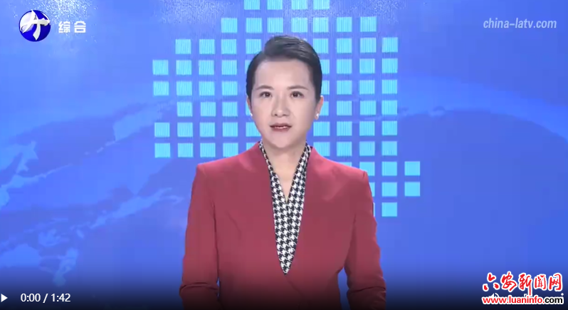  市人大代表杨梅：树立本土零售业标杆