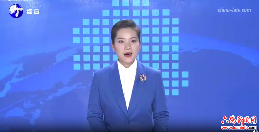  六安：围绕主导产业推动产业集聚集群发展