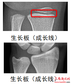 123fffaf8aa14ce7a348e4f0ca983e2b.png 123fffaf8aa14ce7a348e4f0ca983e2b.png