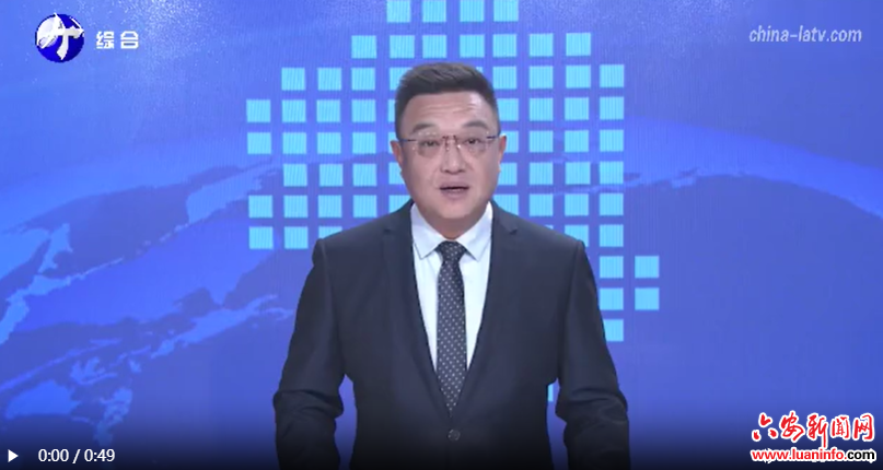 省政协副主席、九三学社安徽省委主委罗平到金寨县开展文化调研活动