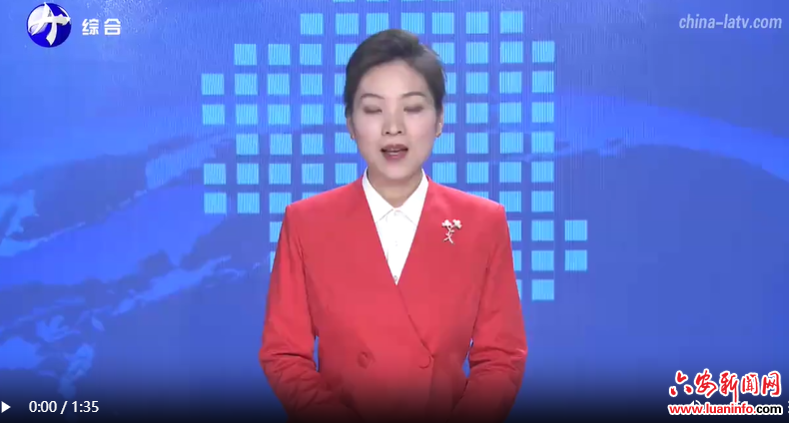 为打造六安版“三地一区”贡献民盟智慧力量