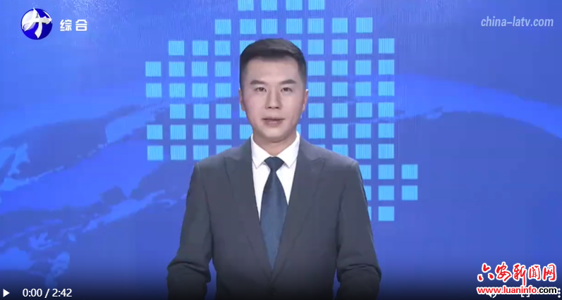 水利部在六安召开农村水利水电工作会议