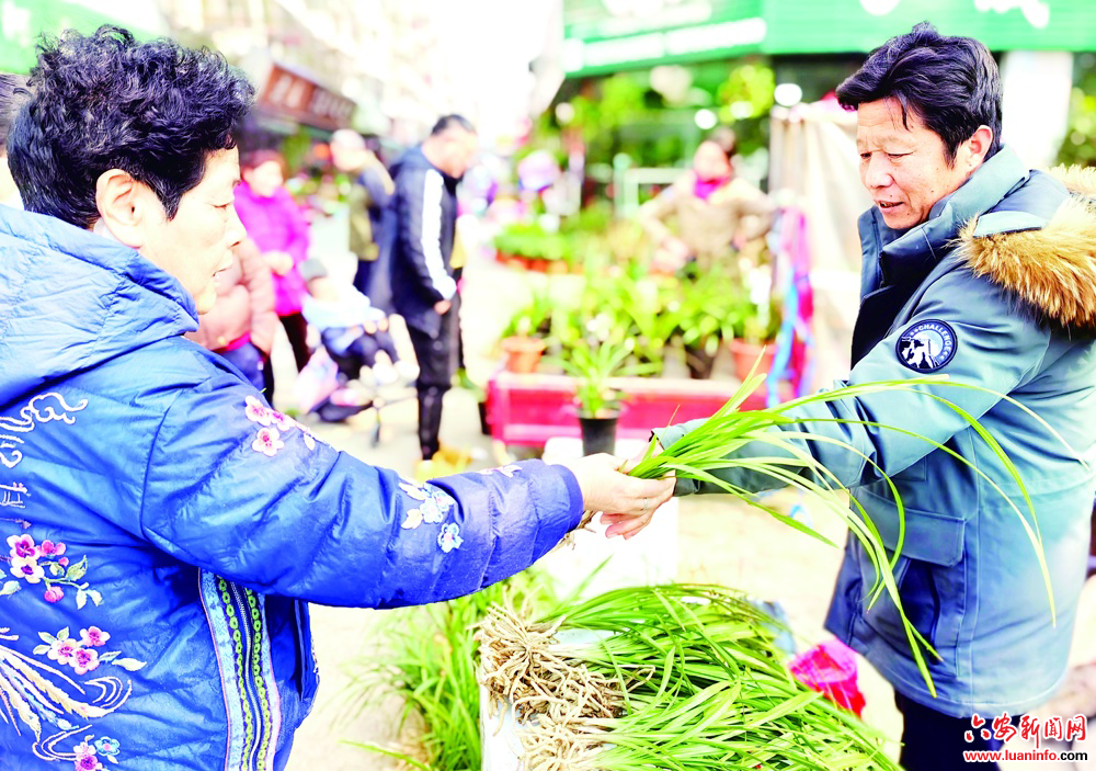 人勤春来早花草苗木俏