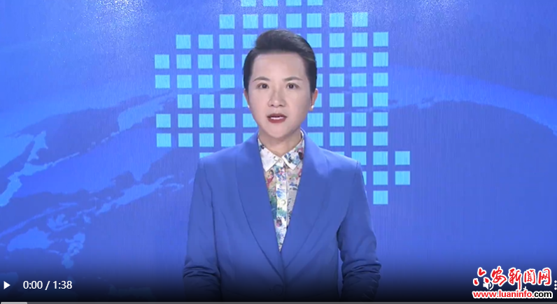 全市安全生产和森林防灭火视频会议暨市安防委第二次全体会议召开
