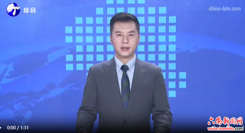  致公党六安市基层委2025年工作会议召开