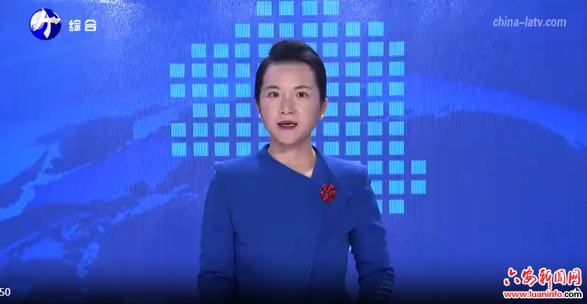 市委常委会会议强调 扎实做好巡察整改等工作