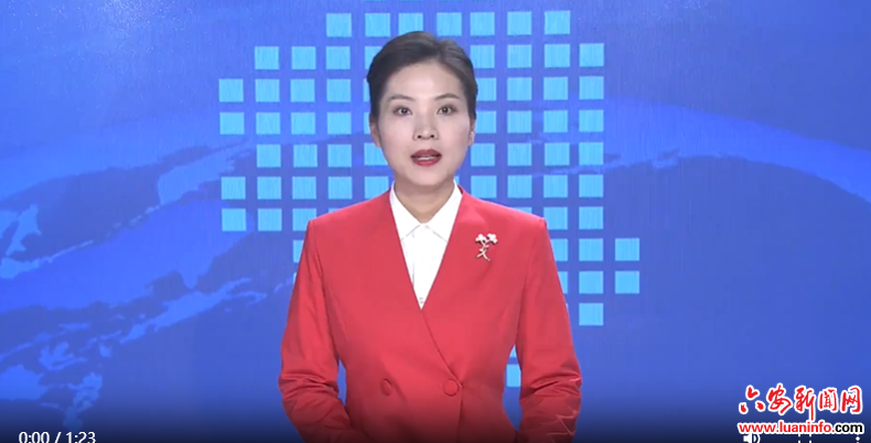  民进六安市委2024年度工作总结表彰大会召开