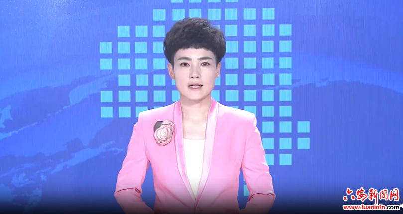  市委常委会会议强调：扎实做好巡视反馈问题整改