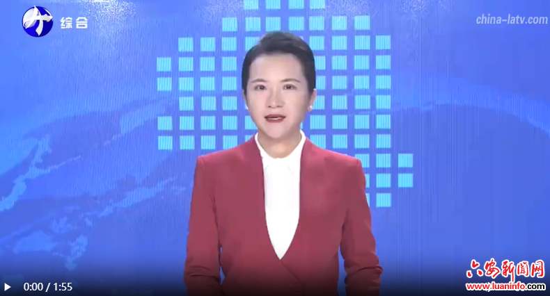 金寨：消费品以旧换新 激发消费新活力