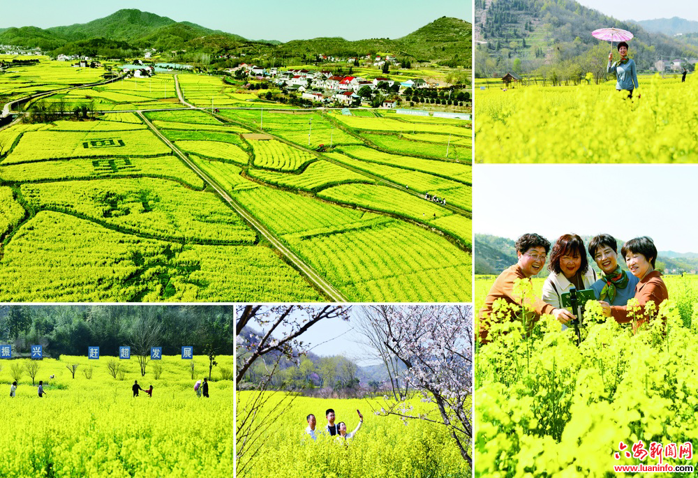 田野菜花黄　山村景如画