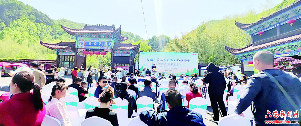 春有约 茶不误——金安区毛坦厂镇着力打造茶旅融合新业态纪实