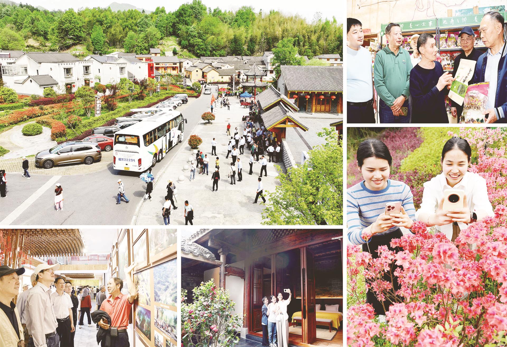 一版50138 一版50138.jpg