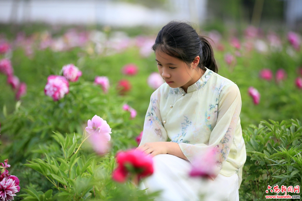 13abda5152b841f9b665cd7a01975d89.jpg 13abda5152b841f9b665cd7a01975d89.jpg