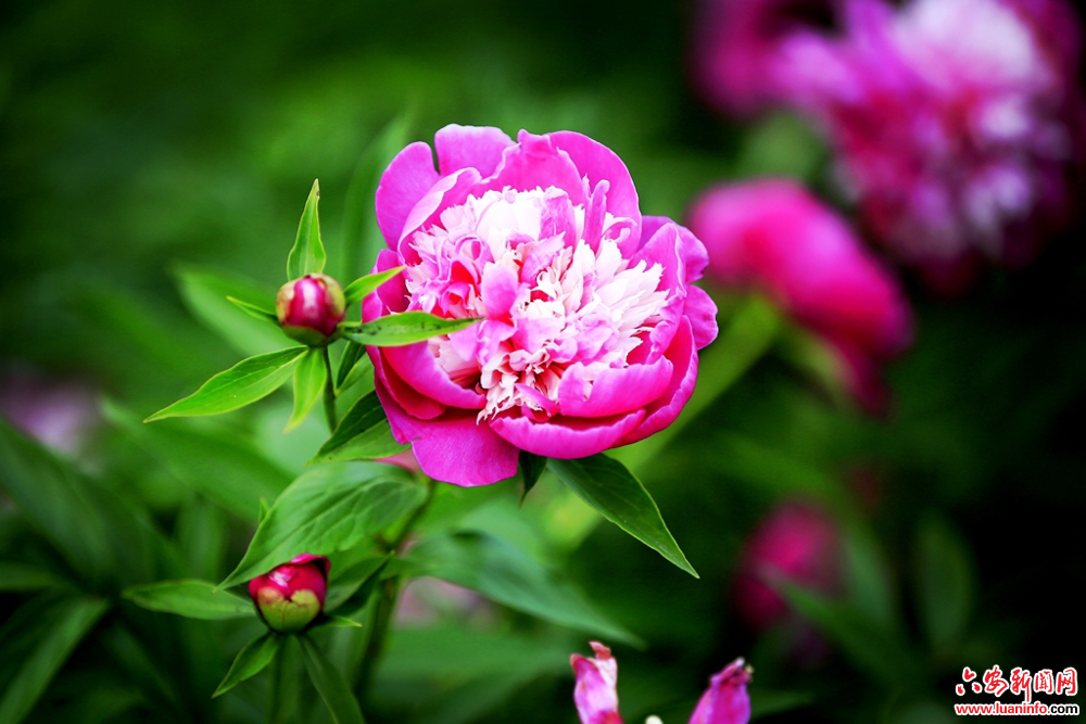 85904ec6b7c84d6294c245a82777e9f3.jpg 85904ec6b7c84d6294c245a82777e9f3.jpg