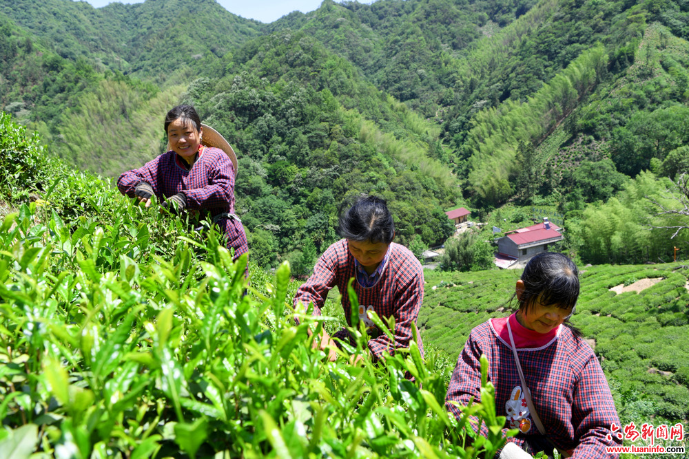 995331010c634d1190e4c2c82860f345.jpg 995331010c634d1190e4c2c82860f345.jpg