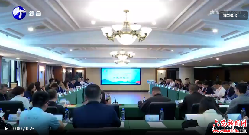  我市在沪举行“五五购物节·皋品入沪六安周”供需对接会