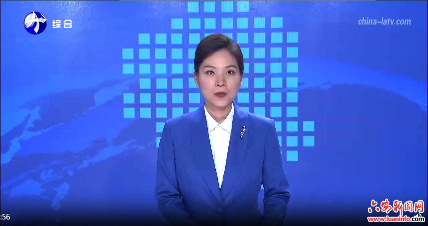 全市统一战线“同心奋进·健康中国”第十二届同心联谊 暨寻美六安活动在舒城举行