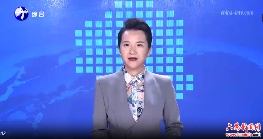 金寨：加快推进洼地治理 筑牢民生屏障