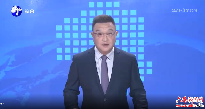 上海市金山区代表团来我市考察