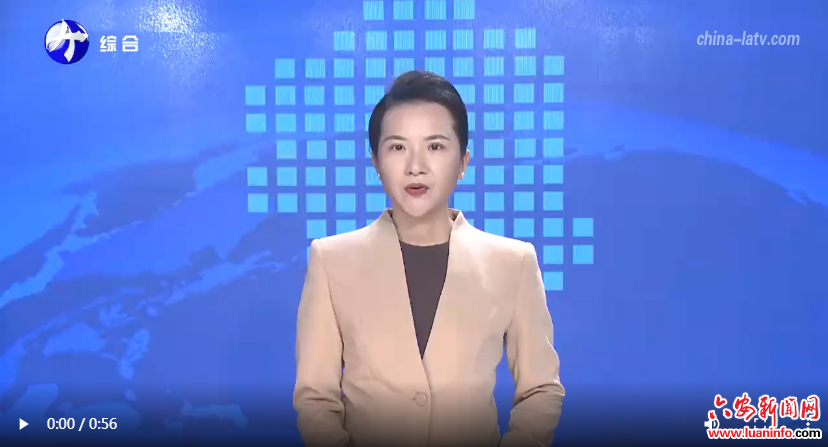 刘洪洁会见韩国驻上海总领事金英俊一行