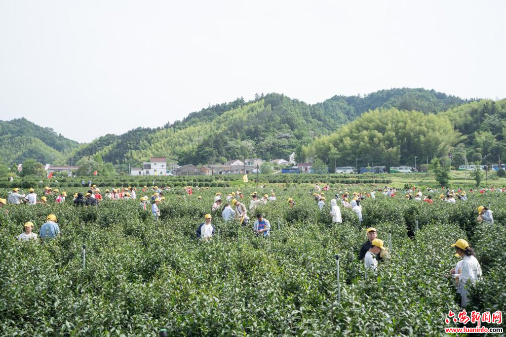 195f18f3047a49f1b6dbdd70313a3626.jpeg 195f18f3047a49f1b6dbdd70313a3626.jpeg