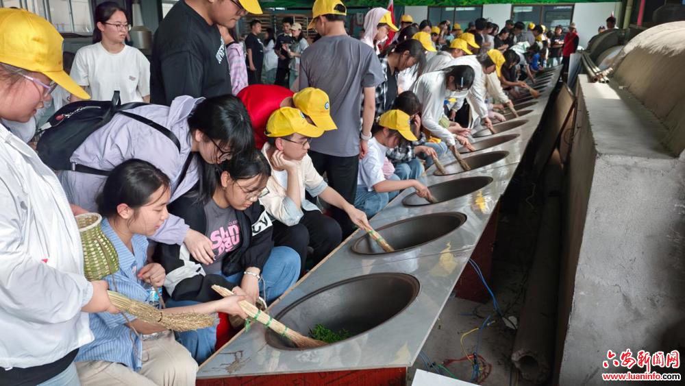 32d19068a12e428385081d6ea029cdd1.jpeg 32d19068a12e428385081d6ea029cdd1.jpeg