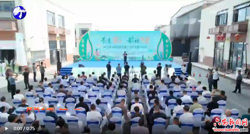 2025霍山黄芽宣传推广月推介活动举行