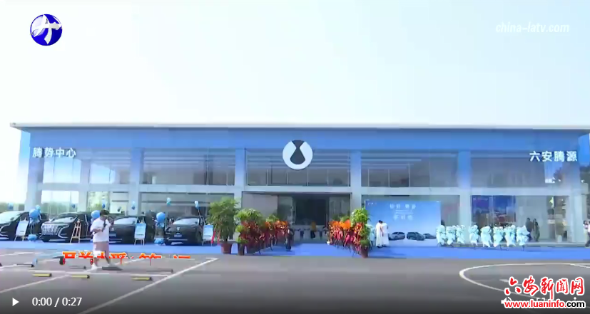 我市新能源汽车市场延续快速增长态势