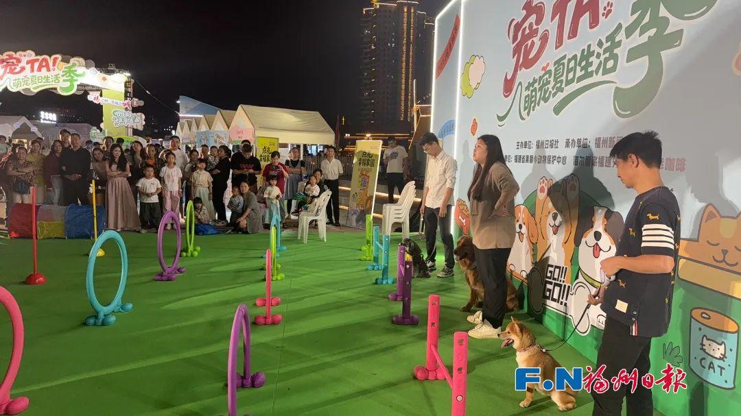 海量好房、机器人AI秀……福州这里超火！将持续三天！