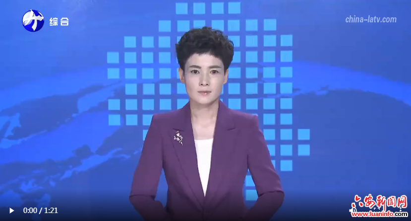 金寨：“空中来客”护航能源大动脉