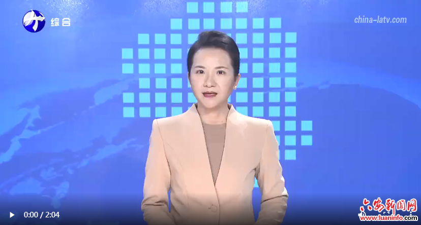 霍邱：直面问题一体推进学查改