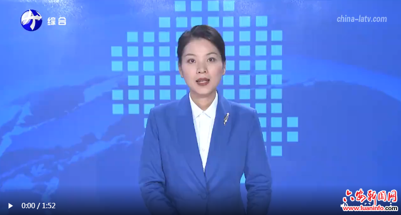 舒城：聚焦主导产业 打造产业集群