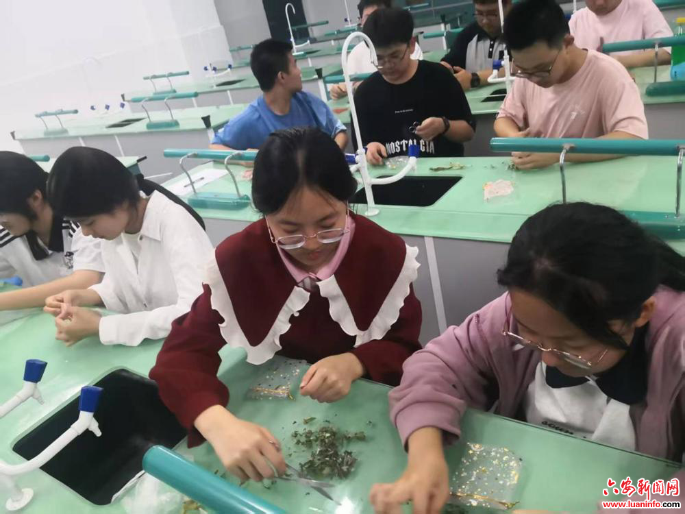 188b966274f8419cb9b7de8fae51d166.jpeg 188b966274f8419cb9b7de8fae51d166.jpeg