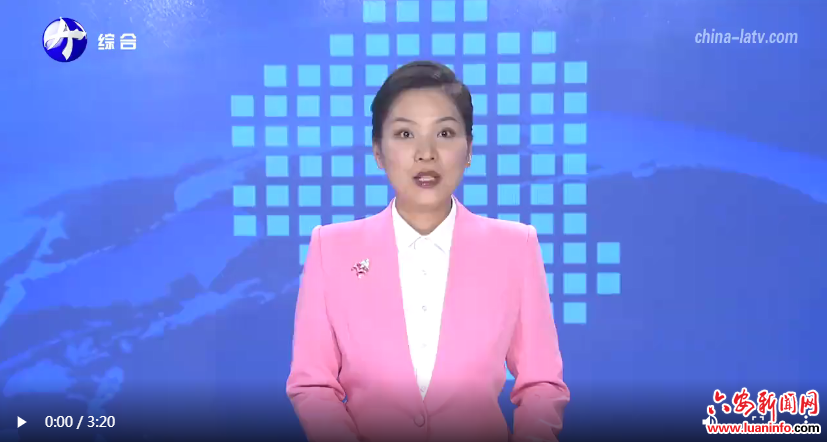 从“应救尽救”到“精准签约”六安残疾人康复工作荣膺全国先进