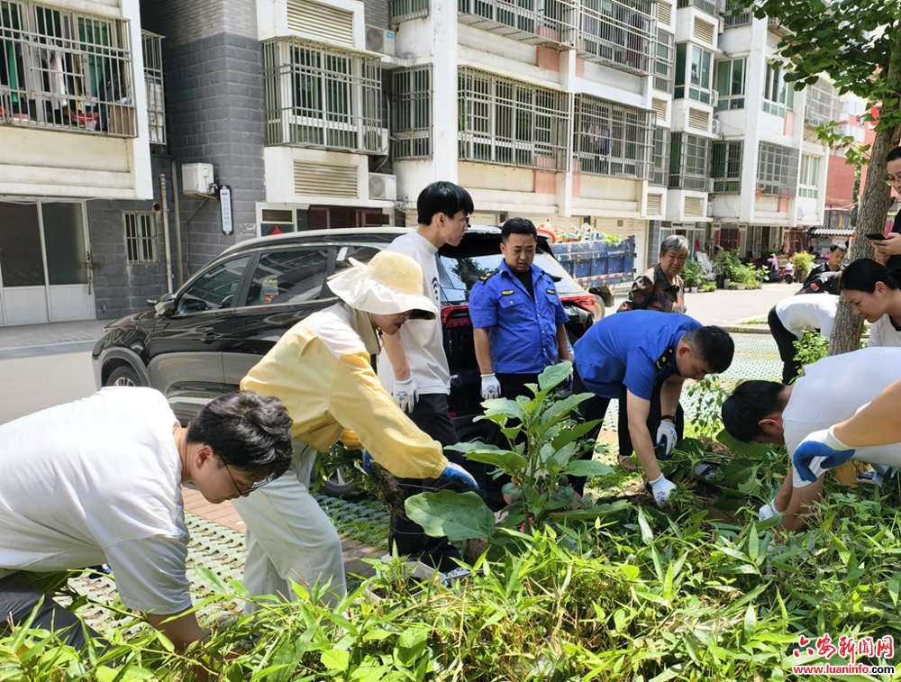 374a3b8b988b4fb990ce93e0613f251b.jpg 374a3b8b988b4fb990ce93e0613f251b.jpg