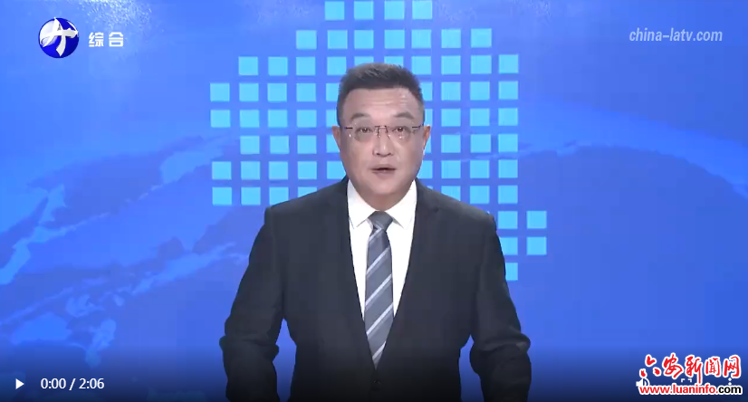 金安：稳就业“新技能” 筑民生“幸福桥”