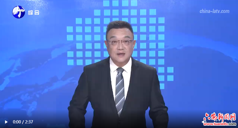 金寨县沙河乡：“多网合一”织就基层治理新图景