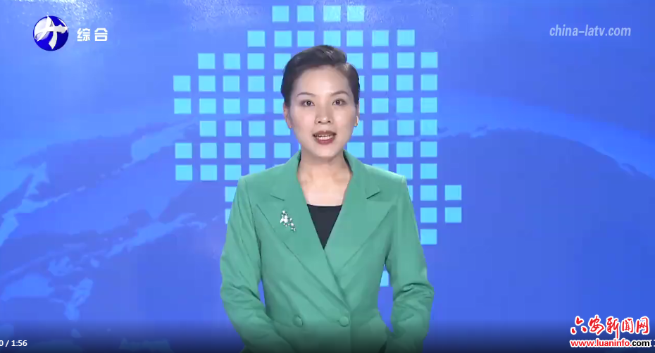 叶集区全力推进工业高质量发展